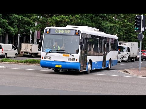20211117 State Transit Authority Port Botany M/O 3716 - Scania L113CRL Ansair Orana