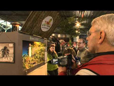 Clip 3 Dutch flair and Caribbean dreams, from ONTRAXS! Utrecht