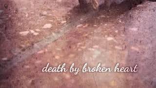 death by broken heart | Birdy - Ghost in the wind