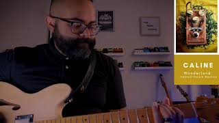 Video thumbnail for Caline Wonderland Pedal (Ambient Reverb Machine) by THE PEDAL COUPLE