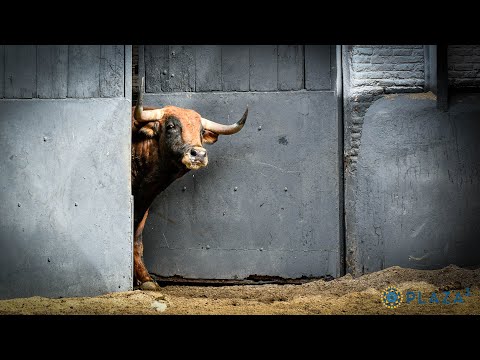 SORTEO | Corrida de toros Cuadri, Domingo de Ramos