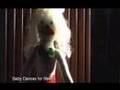 Re Melissa Expresses Joy In Bra Hot Girl Dancing Mini Skirt