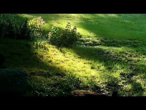 B Mind : R Ni : Wareru - Nyein Chan Sein Lan