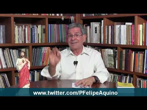 OS DINOSSAUROS EXISTIRAM? - Prof. Felipe Aquino