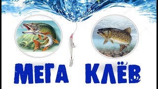 Зимняя рыбалка базы отдыха подмосковье