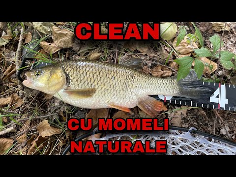 Pescuit la clean cu momeli naturale