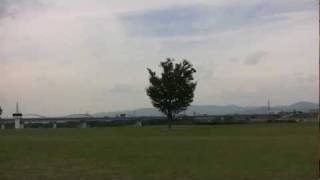preview picture of video '大阪･枚方 淀川河川公園 2011/10 Yodogawa Kasen Park Hirakata'