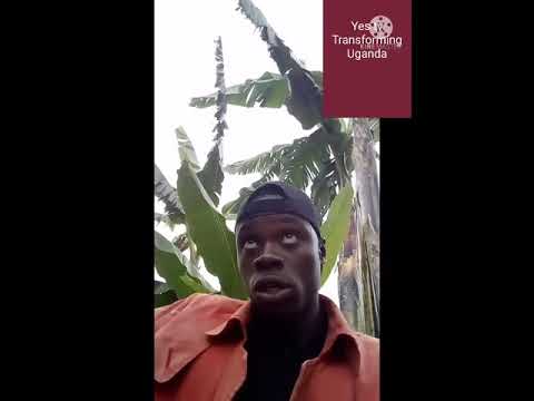 Yes tv Uganda:Tupaate remix by Eddie kenzo ft pia pounds and mc Africa