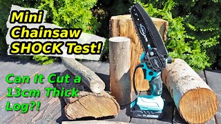 The Perfect Garden Chainsaw? | Yardcare 6 Inch Cordless Chainsaw