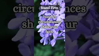 Daily Message, Stand Firm.