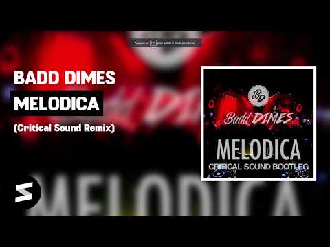 Badd Dimes - Melodica (Critical Sound Remix)