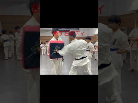 極真会‼️倒す左ボディ‼️ #極真空手 #karate #kyokushin #空手