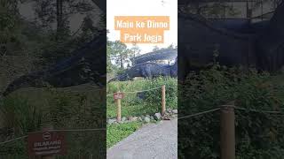 Download lagu Mada- Saurus, liat Dino di Dino Park Kaliurang. #wisatqjigja #dinopark #kaliurang #wisataalam mp3