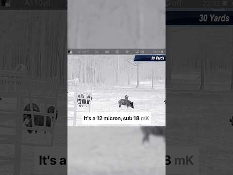 Nocpix Slim H35 640 Review | 2-in-1 Thermal Rifle Scope \u0026 Monocular