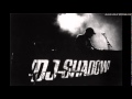 Dj Shadow feat Sergie Pizzorno-the tiger