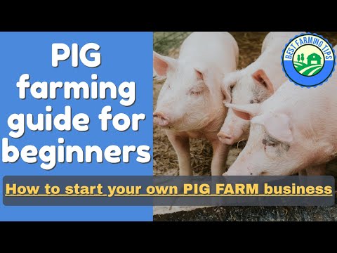 , title : 'PIG FARMING guide for beginners: How to start your own PIG farm business'