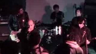 Pat Todd and The Rankoutsiders LIVE! Just Another Stupid Guy