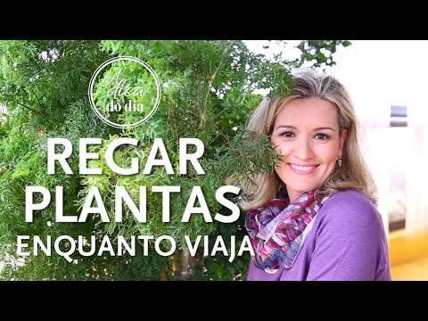 COMO REGAR PLANTAS ENQUANTO VIAJAMOS - A Dica do Dia