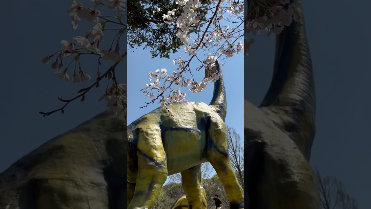 #shorts 恐竜🦕も花見する🌸　のんほいパークにて　2026年4月3日