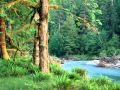 River of Life