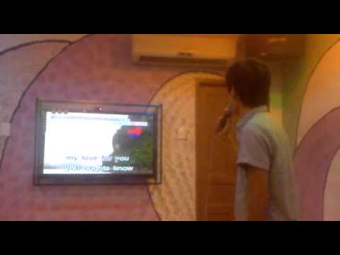 Nothing gonna change my love for you   Viet Tien