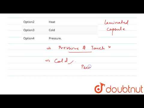 End bulbs of Krause perceive the sensation of