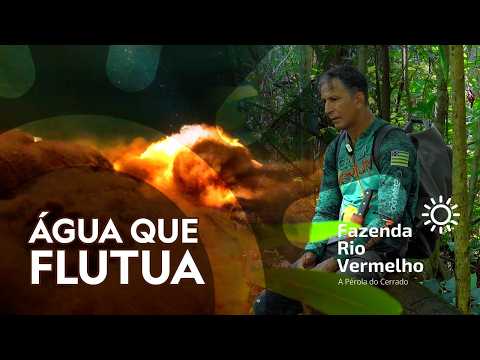 Descubra o Lago e Fervedouro do Léo em Mambaí | Fazenda Rio Vermelho