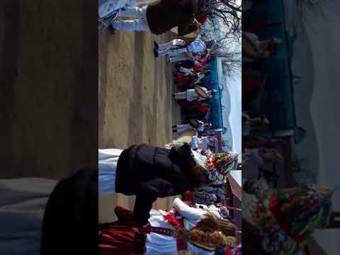 Ciata plopu  darmaneşti bacau  revelionu 2017/2018