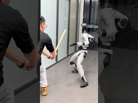 Chinese Kung Fu robot shows impressive martial arts skills