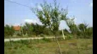 Download lagu rastanak mp3