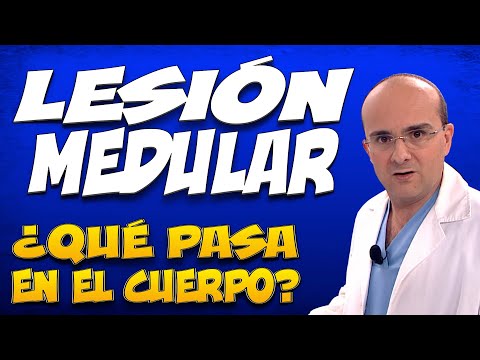 SPINAL CORD INJURY - What happens inside the bodies of those who suffer from it?