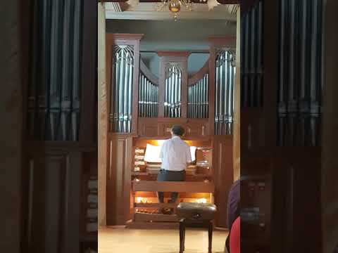 Kiraly Csaba plays Bach