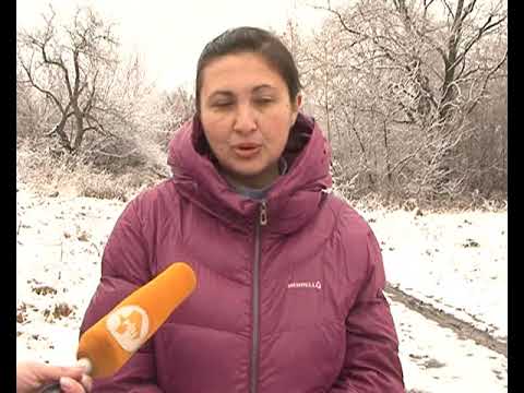 Жители деревни Шагарово просят курские власти провести дорогу