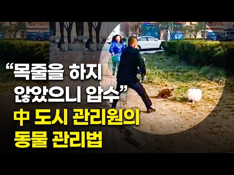 아이콘