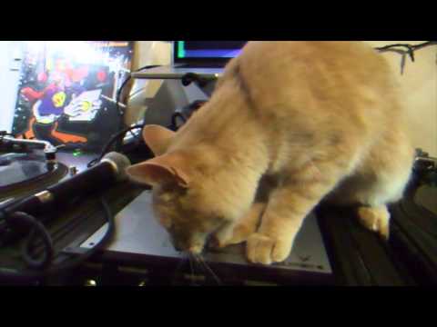 DJ Cateen Notorious B.I.G. vs Super Duck Breaks Mix Practice