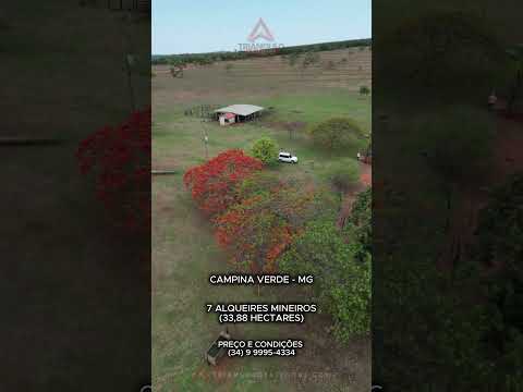 Fazenda à venda em Campina Verde com 7 alqueires mineiros - Triangulo Mineiro - Minas Gerais