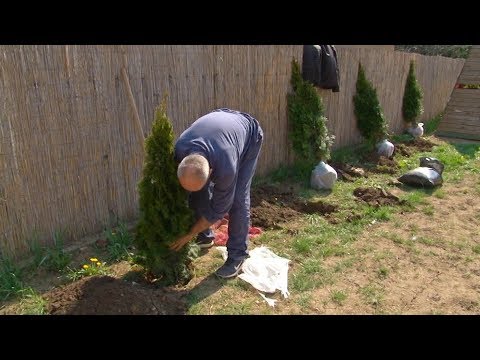 "Cvrčci" u akciji uređenja dvorišta