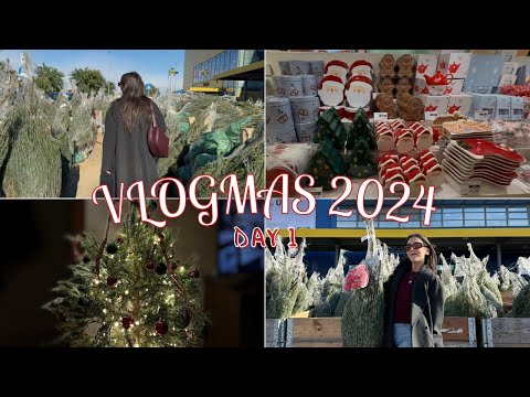 VLOGMAS 2024 - DAY 1 | PRENDIAMO L'ALBERO DI NATALE, HAUL NATALIZIO TIGER | maria silvestro...