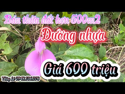 MS253 Bán đất mặt tiền đường nhựa ven sông giá chỉ 600 triệu