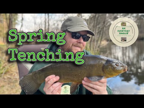 Spring Tench - Stockbridge Pond - Farnham Angling