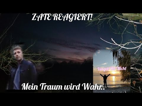 Zates Reaktion auf Vergeb Dir nicht... 😍