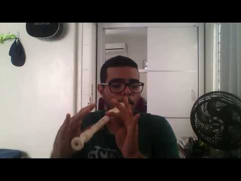 Meu Senhor, Sou Teu 361 HCC/Perto de Jesus 292 CC Flauta Soprano Germânica