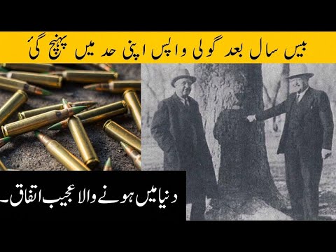 The Story of Henry Ziegland | A True Unlucky Coincidence | Bullet Revenge
