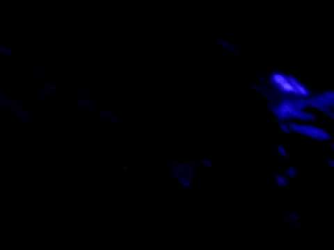 Exhale (A1 Original Version)-Armin Van Buuren feat System F 1/4  @ Contact March 21st, 2009