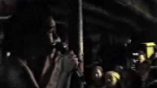 Bikini Kill ABCNORIO Star Bellied Boy