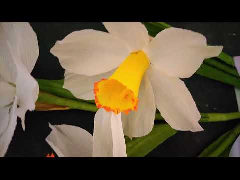 Crepe Paper Daffodils /Osterglocken aus Krepppapier