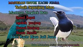 Download lagu MASTERAN UNTUK KACER JUARA | Tengkek Buto | Masteran Kacer terbaik sepanjang masa mp3
