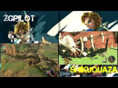 Breath of the Wild Challenge -5- COOKING UP A STORM