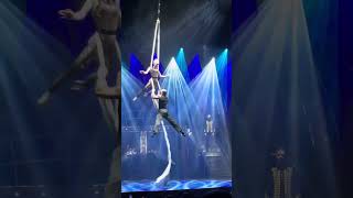 Celebrity Silhouette Aerial Acrobatics