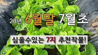 23년 6월말 7월 초에 심을 수 있는 7가지 추천 작물! #주말농장 # 텃밭 가꾸기.